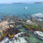 Ilha dos Lobos em Torres