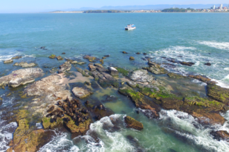 Ilha dos Lobos em Torres