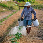 edital para venda de produtos agrícolas em feiras