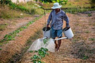 edital para venda de produtos agrícolas em feiras