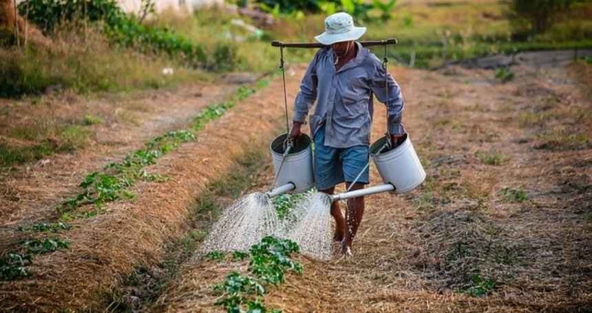 edital para venda de produtos agrícolas em feiras