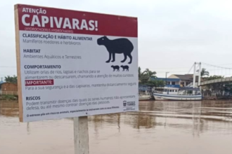 Placas de alerta sobre Capivaras