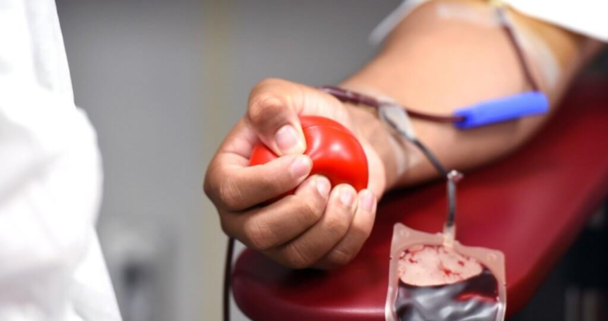 doação de sangue e medula óssea