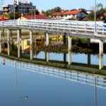 Eventos naturais provocam mortandade de Peixes