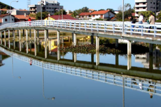 Eventos naturais provocam mortandade de Peixes